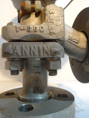 Annin 1", Class 600, CF8M Control Valve