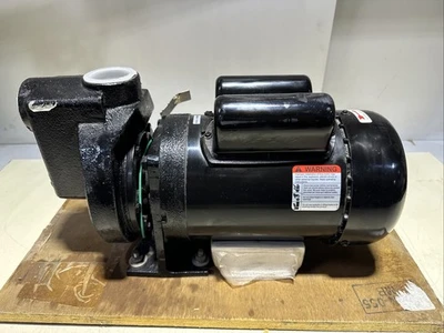 NEW Dayton 2ZXP5