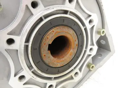 Jiangyin Guoliang NMRV 090 Worm Gearbox 25:1 Reducer 60 RPM Hollow Shaft