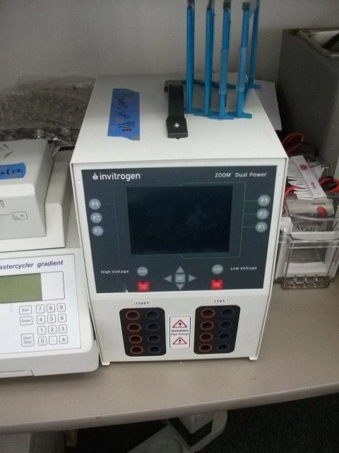 Used INVITROGEN _UNKNOWN_ Electrophoresis California US | Biotech Equipment Sales #1464400