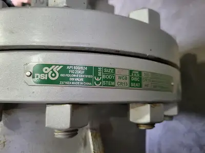 6" Class 300 Gate Valve B16.34