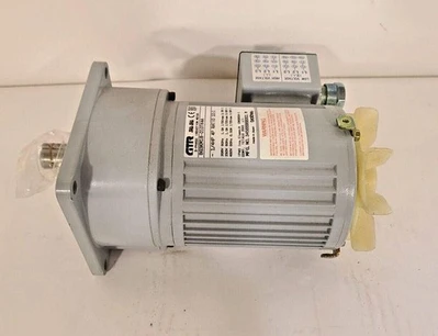 NEW Brother Induction Motor