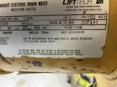 Budgit 3 Ton Hoist