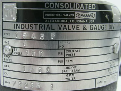 NEW DRESSER 1543F RELIEF VALVE SIZE 1 SET PRESSURE 100