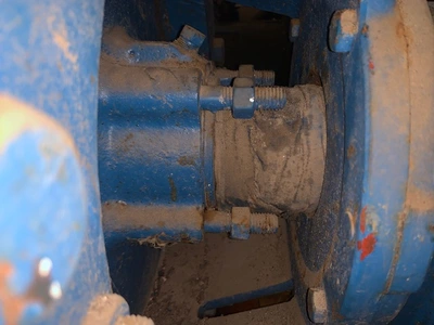 USED Goulds 3196