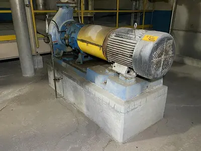 USED GOULDS 3175S