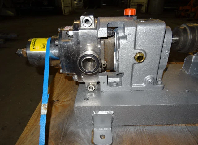 8 to 20 Lpm Johnson S/S JKTD Lobe Pump Model 20/0020
