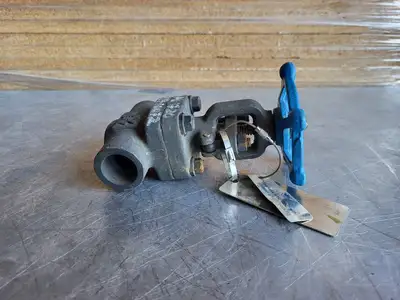 3/4" Class 800 Gate Valve B16.34