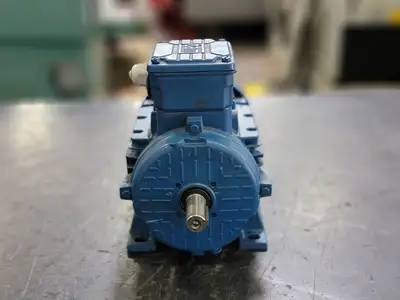 Used 2022 WEG TE01A0X0T0000300438 Motors (misc) British Columbia CA | Lenmark #246663