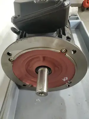 Used Siemens 1LE15231CA190FB4-Z Motors (misc) | Palmetto Automation #1155127