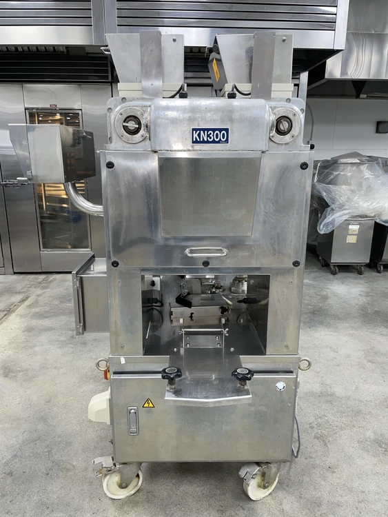 Used 1994 Rheon KN300 Extruders Georgia US | Envoy Equipment LLC #450117
