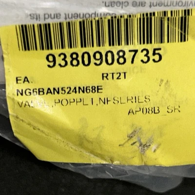 NEW Numatics NG6BAN524N68E61