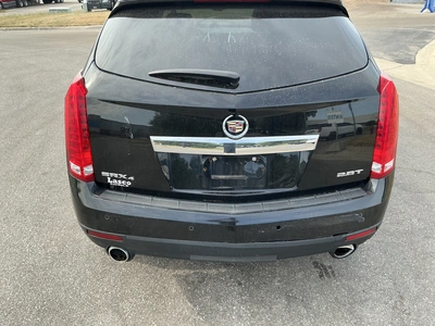Used 2010 CADILLAC SRX SUVs Michigan US | Miedema Asset Management Group #1324262