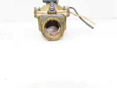 Granzow 21WN6KB250MR Brass Solenoid Valve 2-Way 1" NPT 120V Normally Closed