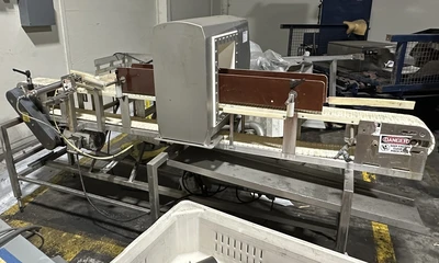 USED METTLER TOLEDO, SAFELINE V48 RAD
