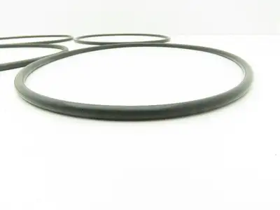 Viton 75 Duro Black O-Ring  1/4" x 9-1/2" ID x 10" OD  Lot of 4
