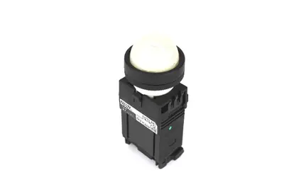 NEW FUJI ELECTRIC DR22DOL