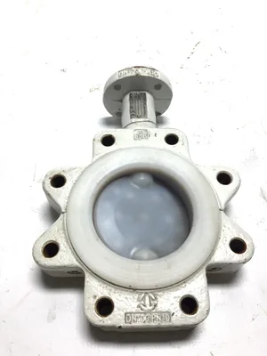Neotecha AG N034806 Neo Seal Butterfly Valve