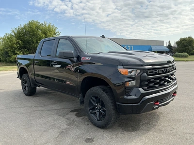 Used 2024 CHEVROLET SILVERADO 1500 Pickup Trucks Michigan US | Miedema Asset Management Group #1324122