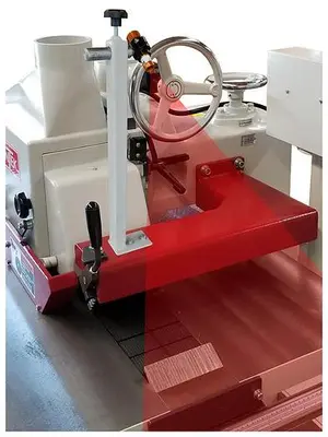 Cantek 10'' Straight Line Rip Saw 303S