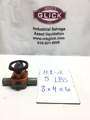 George Fischer Diaphragm Valve 1″In