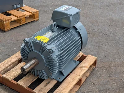 Mitsubishi 25HP Motor