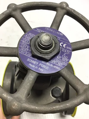 Bonney Forge L1-11-RF Steel Flanged Wedge Gate Valve 2″ 150 RF Flanged A105 Forged Steel