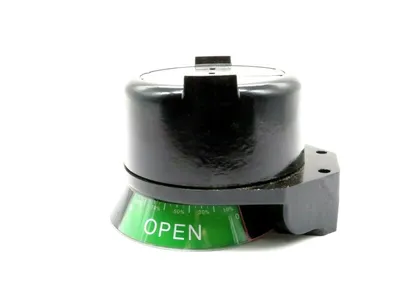 NEW STONEL QZM2VB1DSS LIMIT SWITCH MECHANICAL 10AMP 125/250VAC