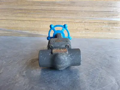 3/4" Class 800 Globe Valve B16.34