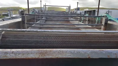 2008 GEM 15 TPH Plant - Food | Perry Equipment (72)