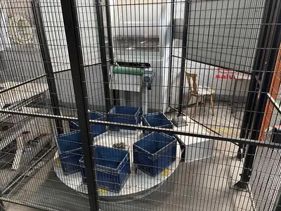 USED 2015 SALVAGNINI S4XE.40