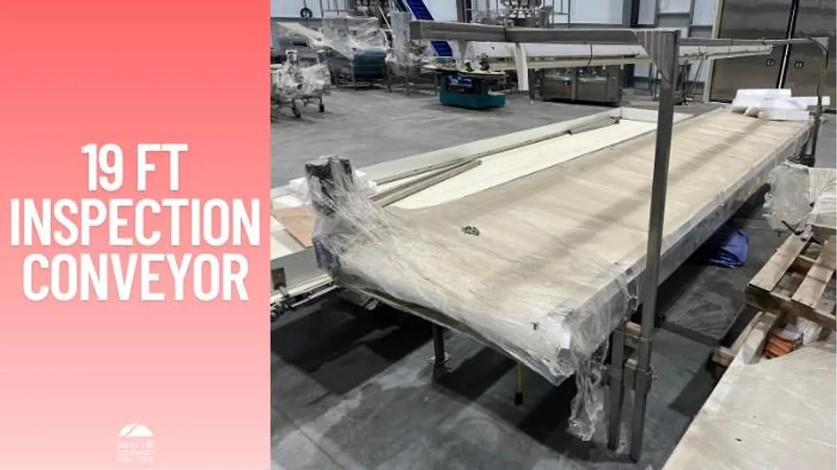 19ft Inspection Conveyor