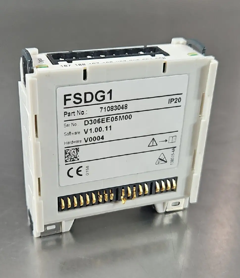 USED Endress Hauser FSDG1