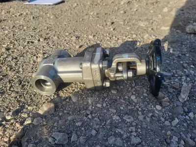 1" Class 800 Globe Valve API 602