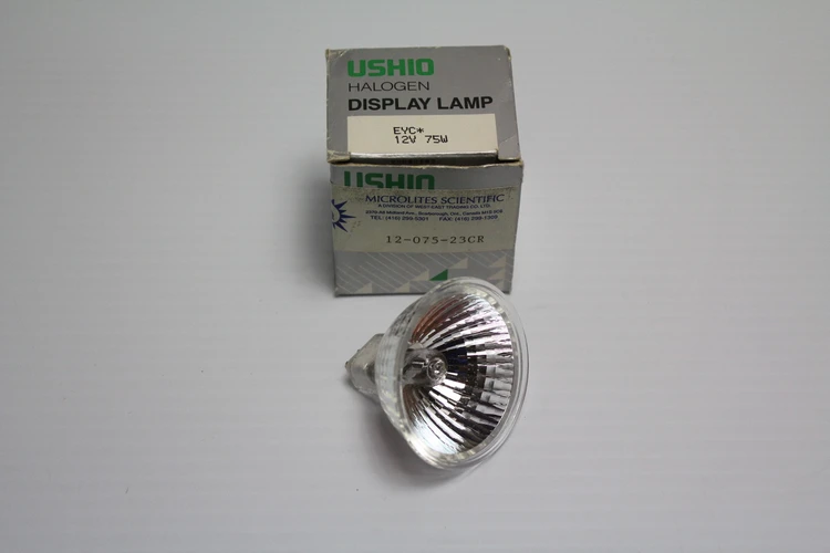 New | in-Stock EiKo EYC Lighting California US | Davliegogo LLC #1707243