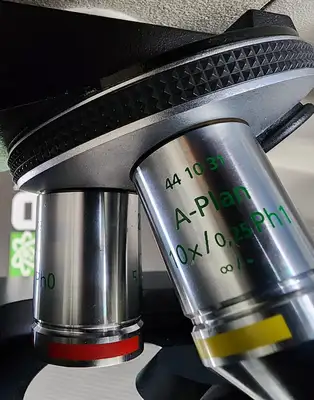 Carl Zeiss AXIOVERT 25 Phase Contrast Reverse Microscope With 2 Objectives