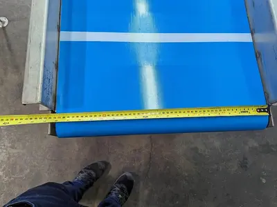 Custom 10' Conveyor with Removable Packaging Tables