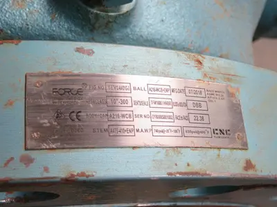 Used FORCE A216-WCB-ENP 10-300 Valves/Fittings Texas US | Aucto #1306997