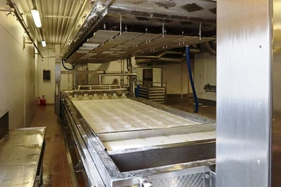 Kalt/GEA Westfalia 24 TPD complete cheese plant.