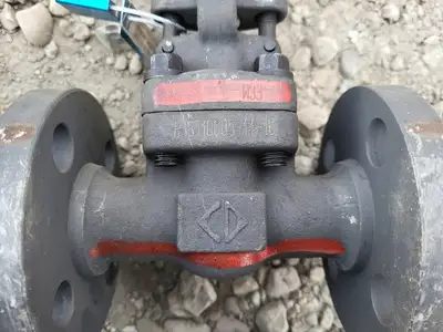 1" Class 300 Gate Valve API 602