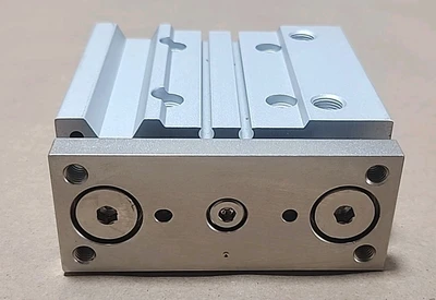 NEW SMC MGPM25-40Z