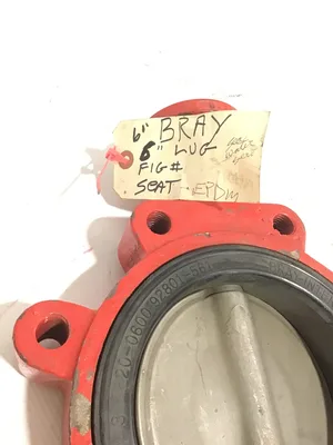 Bray ND4786/20-0600 92801-561 Lug Butterfly Valve 6″