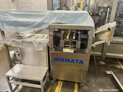 Used MAMATA PFS-250 Form & Fill Horizontal - Pre Made Bags Illinois US | Aaron Equipment #86688