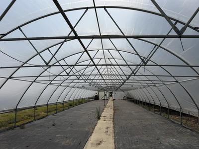 Used _UNKNOWN_ _UNKNOWN_ Greenhouse Equipment Michigan US | Miedema Asset Management Group #1396087