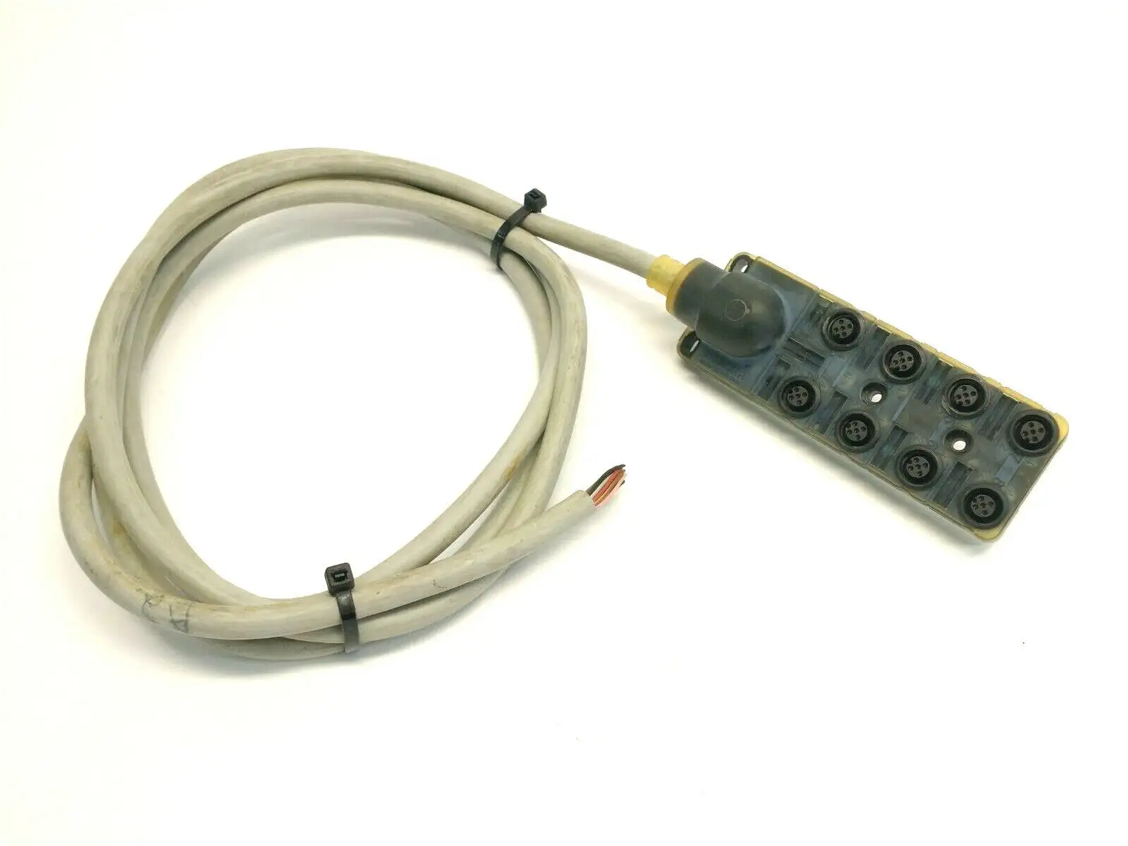Used MURR ELEKTRONIK EXACT12 Cable & Wire | Maverick Industrial Sales #1114396