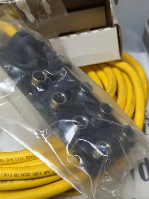 New | in-Stock TURCK 8MB12Z-5P3-10 (U2-00929) Miscellaneous Equipment (Electrical & Power) | Surplus Asset Holdings #1194902