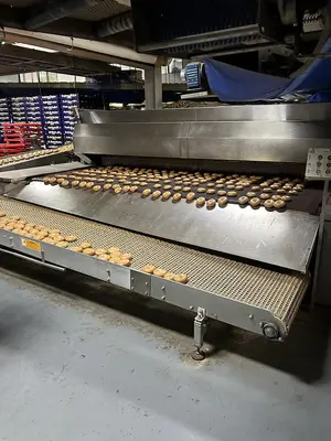 AMF Single Zone Tunnel Bagel Oven
