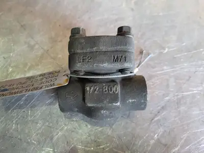 1/2" Class 800 Piston Check Valve B16.34