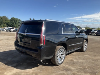 Used 2017 CADILLAC ESCALADE SUVs Michigan US | Miedema Asset Management Group #1461304