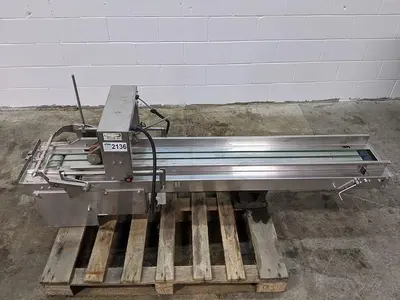 Infeed Conveyor for Pouch Filler